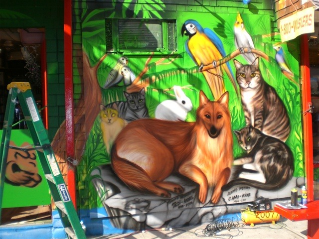 Whiskers holistic pet store cheap