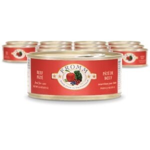 Fromm Four Star Beef Pate for Adult Cats - 5.5oz