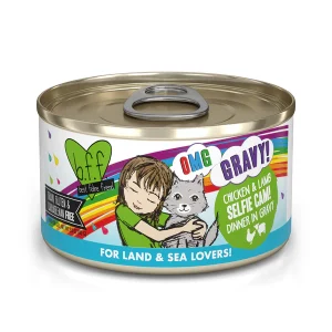 Weruva BFF OMG Grain Free Selfie Cam Canned Food for Adult Cats