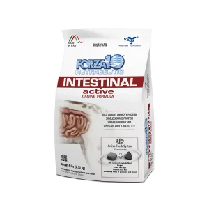 Forza10 Active Line Intestinal Dry Food for Dogs