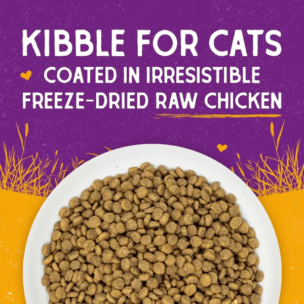 Stella & Chewys Raw Coated Cage-Free Chicken Dry Food for Adult Cats - Image 5