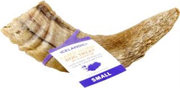 Icelandic Lamb Horn Dog Chew Small