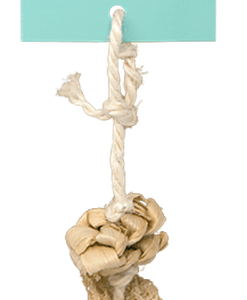 Oxbow Enriched Life Natural Play Dangly Toy for Small Animals