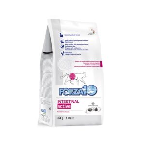 Forza10 Active: Intestinal Dry Food for Cats