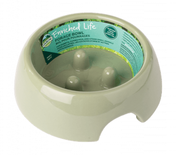 Oxbow Enriched Life Forage Bowl for Small Animals
