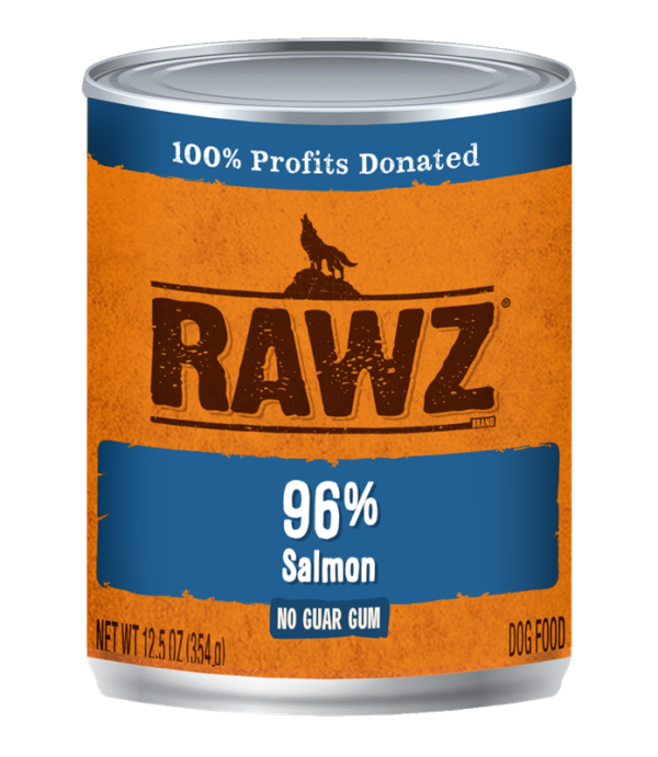 RAWZ 96% Salmon Canned Food for Dogs