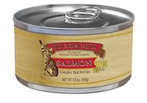 Hound & Gatos Salmon Recipe Canned Food for Cats
