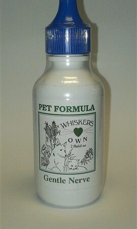 Whiskers Own Gentle Nerve