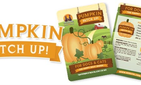 Weruva Pumpkin Patch-Up for Dogs and Cats
