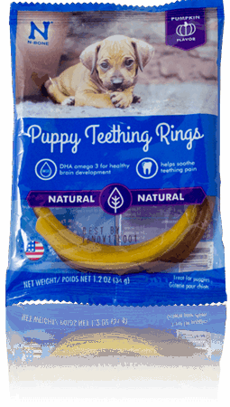 N Bone Soy Puppy Teething Ring - Pumpkin