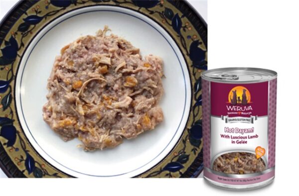 Weruva Hot Dayam Canned Food for Adult Dogs