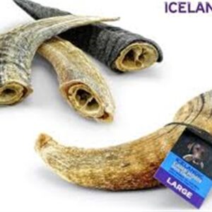 Icelandic Lamb Horn Dog Chew Large
