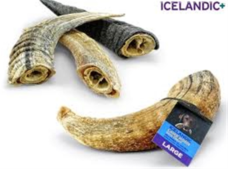 Lamb horn dog clearance chew