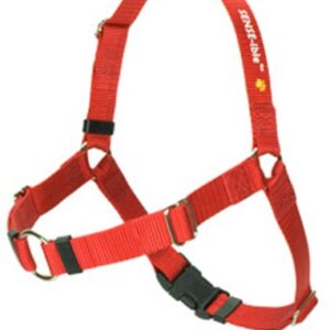 Sense-ible Harness