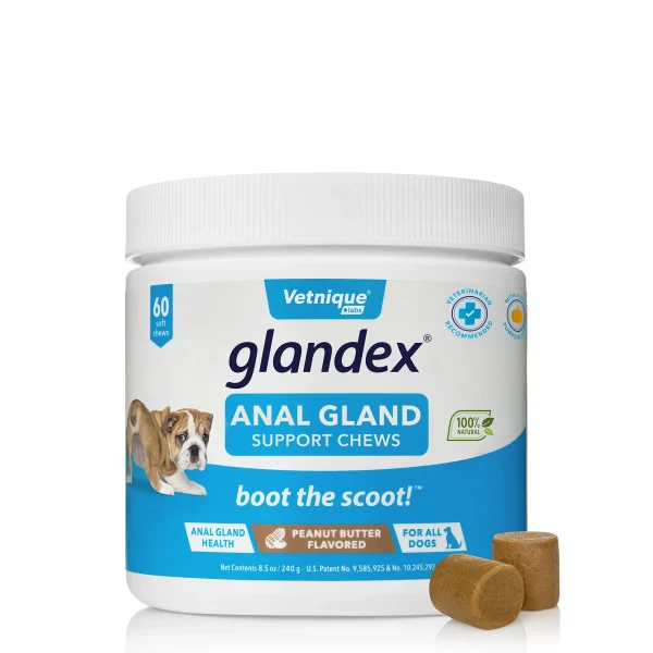 Glandex Anal Gland Support Soft Chews for Dogs