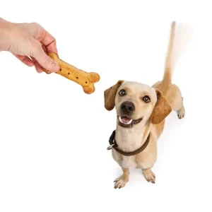 Dog Treats