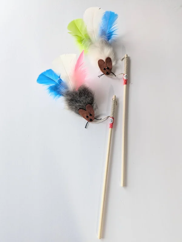 Runaway Rosie Teaser With Feathers