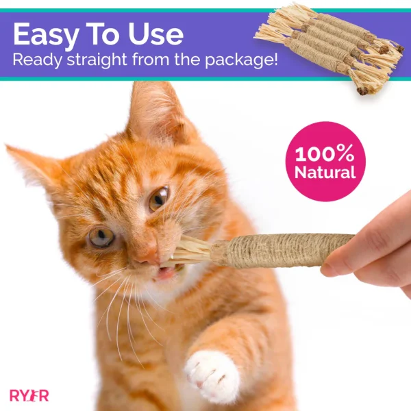 RYERCAT Silvervine Cat Dental Sticks - Image 3