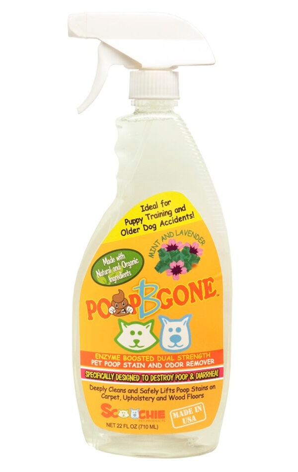 Scoochie Poop-B-Gone Stain & Odor Remover - 22oz