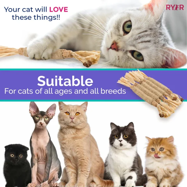 RYERCAT Silvervine Cat Dental Sticks - Image 4