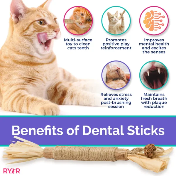 RYERCAT Silvervine Cat Dental Sticks - Image 5