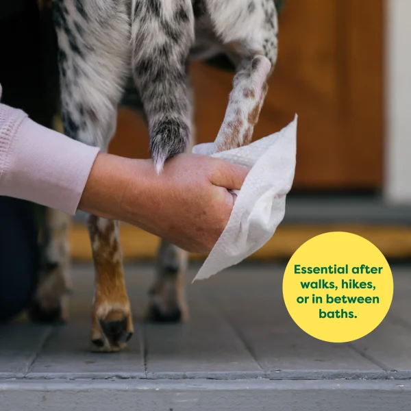 Earth Rated Grooming Wipes for Dogs - Image 3
