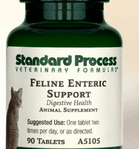 Standard Process: Feline Enteric Support - 90ct