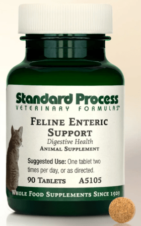 Standard Process: Feline Enteric Support - 90ct